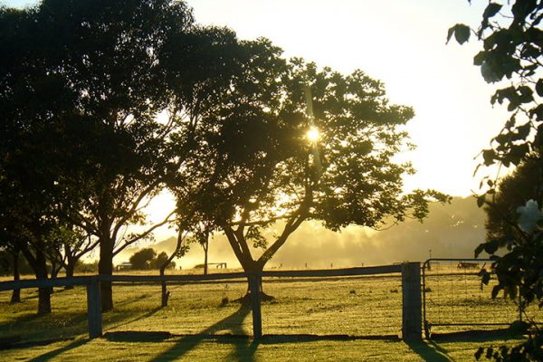 sunset-at-oakleigh-farm